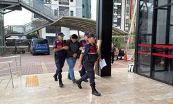 Alanya'da kuşları işkence yaparak öldürdüğü iddia edilen şüpheli tutuklandı