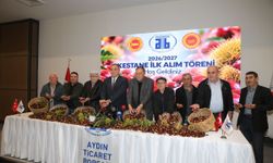 Aydın'da sezonun ilk kestanesi, kilogramı 600 liradan satıldı