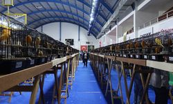 Balıkesir'de en güzel kanaryalar yarıştı