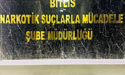 Bitlis'te mide ve bağırsağında uyuşturucu tespit edilen yabancı uyruklu şüpheli tutuklandı