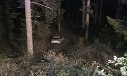 Bolu'da uçuruma yuvarlanan cipteki 4 kişi yaralandı