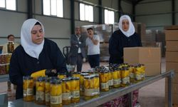 Bursa'da kadınların el emeğiyle katkısız turşu üretiliyor