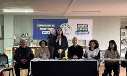 DEM Parti Eş Genel Başkanı Hatimoğulları İstanbul'da konuştu: