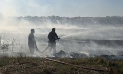 Edirne'de anız yangını söndürüldü