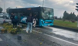 Erzurum'da kamyonetten yola dökülen meyveleri vatandaşlar topladı