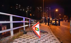 Gümüşhane'de otomobilin yayaya çarpıp devrilmesi sonucu 4 kişi yaralandı
