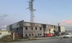 GÜNCELLEME - Afyonkarahisar'da mantar fabrikasında çıkan yangın söndürüldü