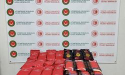 Hakkari'de gümrük kaçağı malzemeler ele geçirildi