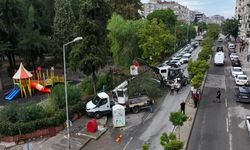 İzmir'de park halindeki 4 otomobilin üzerine ağaç devrildi