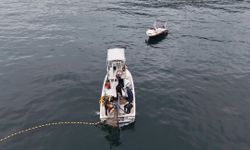Karadeniz'de palamut bolluğu yüz güldürmeye devam ediyor
