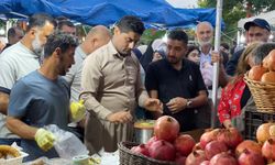 Kerkük'te 4. Geleneksel Nar Festivali başladı
