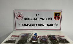 Kırıkkale'de evinin bahçesinde kenevir bitkisi yetiştiren zanlı gözaltına alındı