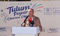 Konya'da mağarada olgunlaşan tulum peynirleri çıkarıldı