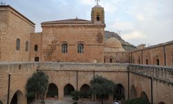 Mardin'de tarihi manastırın bahçesinde zeytin hasadı başladı