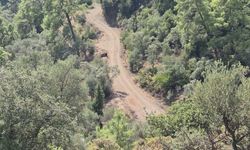 Marmaris'te ormanlık alanda temizlik yapıldı