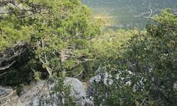 Mersin'de kayıp olarak aranan kadın çalılık alanda ölü bulundu