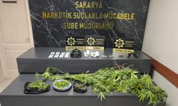 Sakarya'da 'Sokaklar Güvende' operasyonunda 19 şüpheli gözaltına alındı