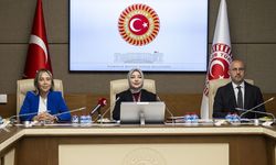 TBMM Kadın Erkek Fırsat Eşitliği Komisyonu toplandı