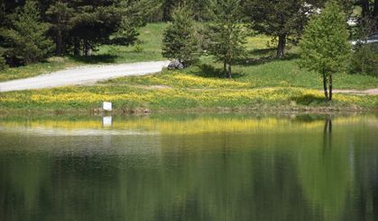 Altınpınar Limni Gölü turizm sezonunun ilk misafirlerini ağırlıyor