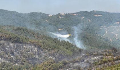 Balıkesir'deki orman yangını kontrol altına alındı