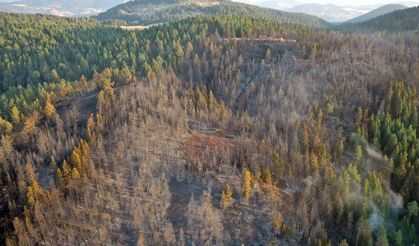 Çankırı'nın Yapraklı ilçesindeki orman yangınından etkilenen alanlar havadan görüntülendi