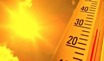Dünya ağustosta kayıtlardaki en sıcak ayı yaşadı