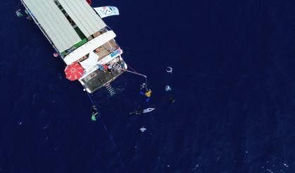 Şahika Ercümen, Serbest Dalış Türkiye Şampiyonası'nda 4 altın madalya kazandı