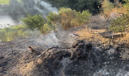 Edirne'de Tunca Nehri kenarında çıkan yangın söndürüldü