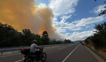 GÜNCELLEME - Bolu'da ormanlık alanda çıkan yangına müdahale ediliyor