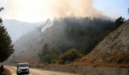 Karabük'te çıkan orman yangını kontrol altına alındı