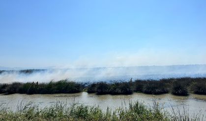 Kızılırmak Deltası Kuş Cenneti'nde yangın