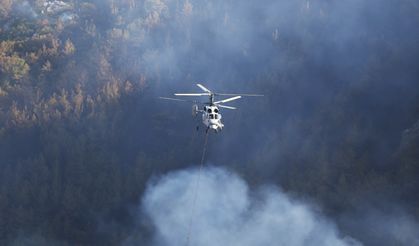 Alanya Kaymakamı Öztürk'ten ilçedeki yangınlara ilişkin açıklama: