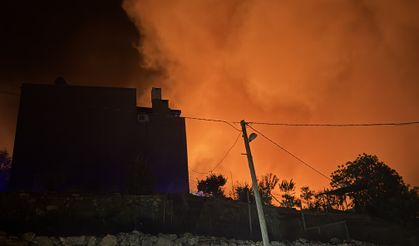 Antalya'nın Alanya ilçesinde ormanlık alanda yangın çıktı