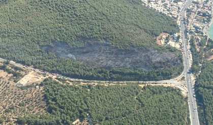 Bodrum'da çıkan orman yangını kontrol altına alındı