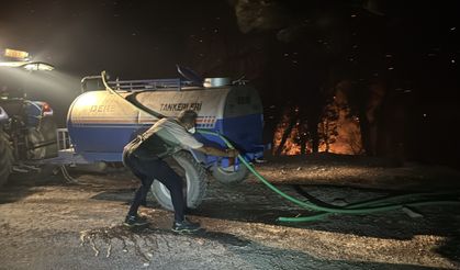 Milas'ta çıkan orman yangınına müdahale ediliyor