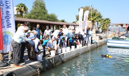 Muğla'da 160 bin balık yavrusu denize bırakıldı