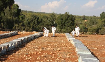 Toros Dağları'nda üretilen çiçek balı Fransa ve İngiltere'den 3 ödül kazandı
