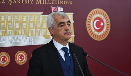 DEM Parti'li Gergerlioğlu, açıklanan asgari ücreti eleştirdi