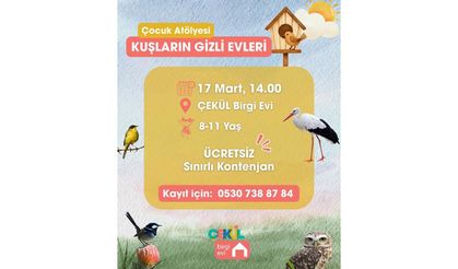 Kuşların gizli evleri