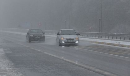 Bolu-Kıbrıscık kara yolunda devrilen ağaçlar nedeniyle ulaşım aksadı