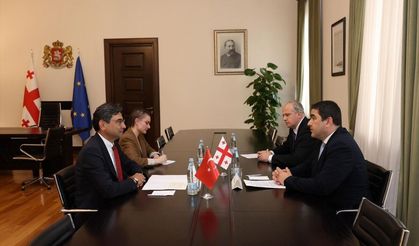 Gürcistan Parlamentosu Başkanı Papuaşvili, Türkiye'nin Tiflis Büyükelçisi Arı'yla bir araya geldi