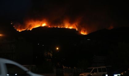 Aydın'ın Çine ilçesindeki orman yangını sürüyor