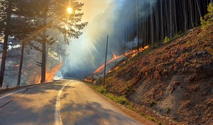 Uludağ'da yol kenarında çıkan yangına havadan ve karadan müdahale ediliyor