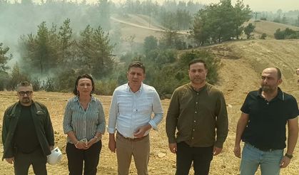 Adana'nın Kozan ilçesinde çıkan orman yangını İmamoğlu ve Aladağ ilçelerine de sıçradı