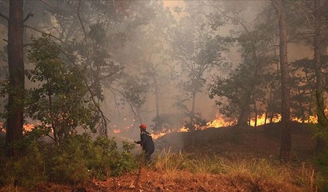 Yunanistan''da çıkan orman yangını devam ediyor