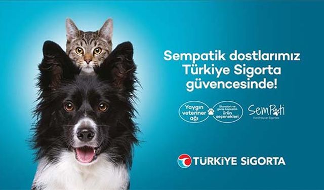 Türkiye Sigorta’dan evcil hayvanlara özel sigorta