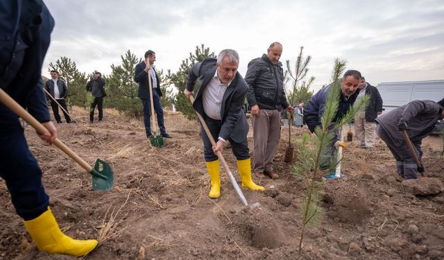 ÖSYM'nin kuruluş yılı dolayısıyla "50. Yıl Hatıra Ormanı" oluşturuldu