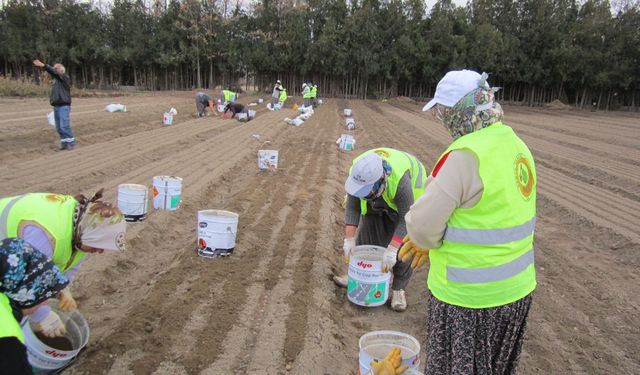 OGM'den girişimci orman köylüsü kadınlara 64 milyon TL destek