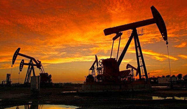 Petrol hakkına müteallik karar