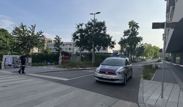 Avusturya'da okula düzenlenen silahlı saldırıda 11 kişi öldü